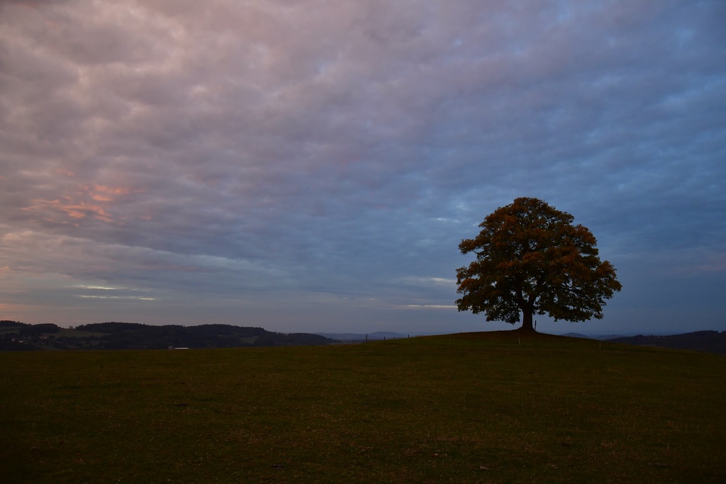 2018-10 Prague/Votice/DSC_5893.JPG